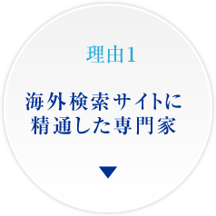 理由1 海外検索サイトに精通した専門家