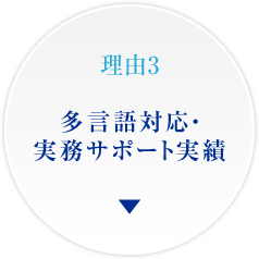 理由3 多言語対応・実務サポート実績