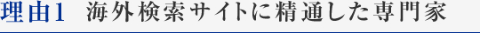 海外検索サイトに精通した専門家
