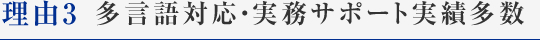 多言語対応・実務サポート実績多数